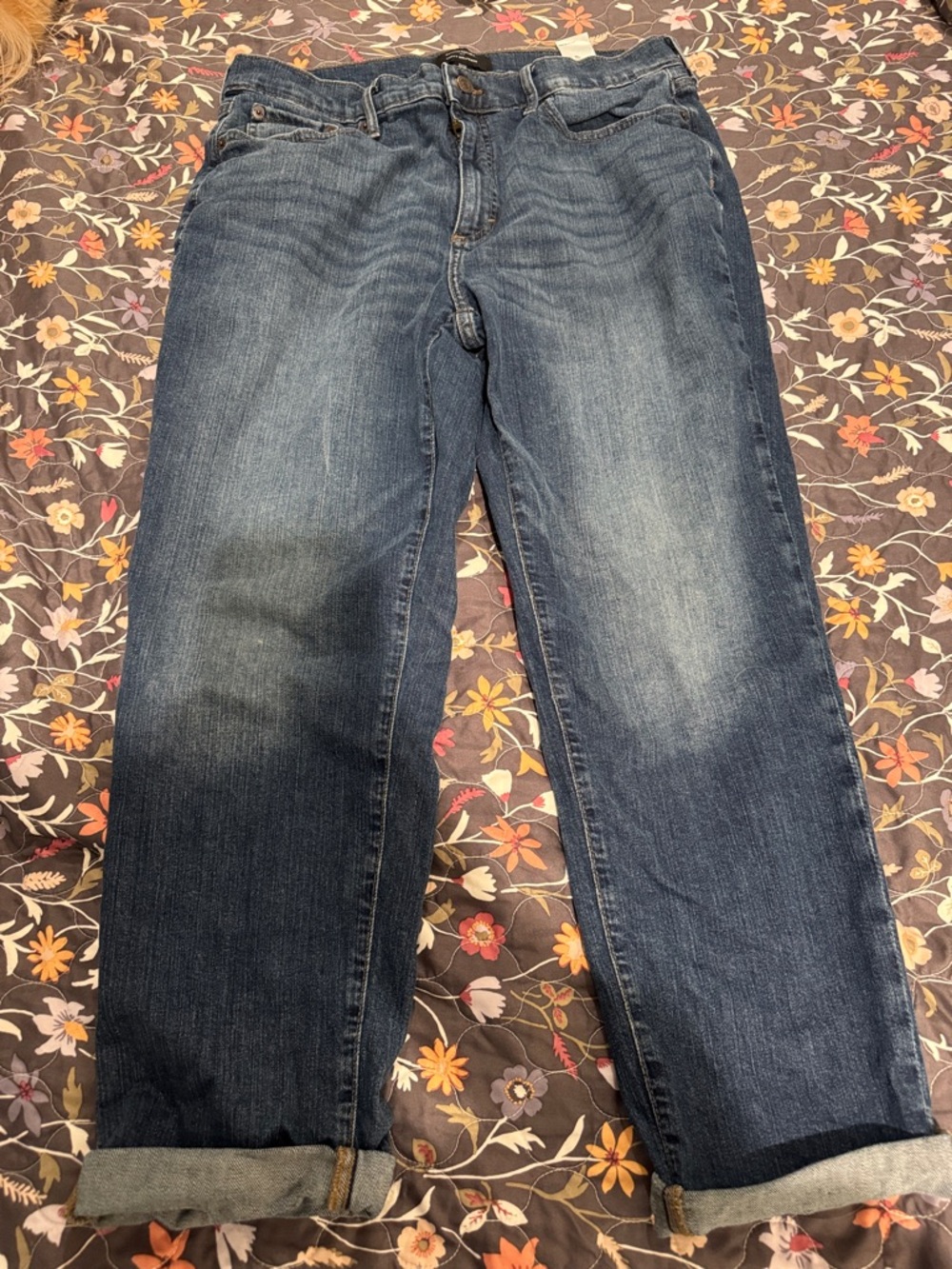 Banana Republic Curvy Girlfriend Blue Jeans